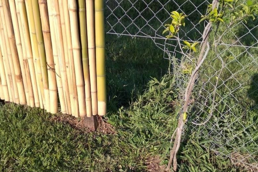 Violenta entradera en una casa de barrio La Cardera